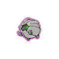 Exotic Shelgon